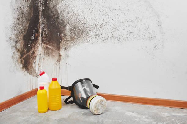 Best Emergency Mold Removal  in University Of Lifornia Davis, CA