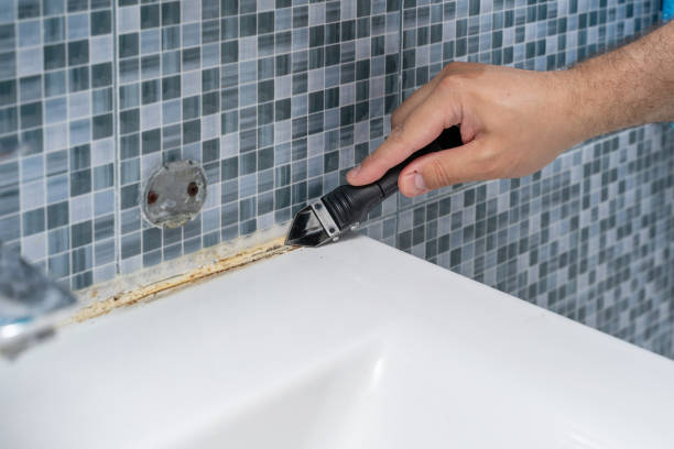 Mold Removal and Inspection in University Of California Davis, CA