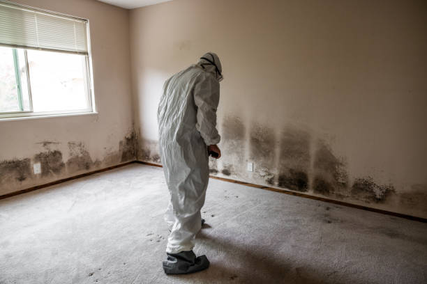 Crawl Space Mold Removal in University Of California Davis, CA